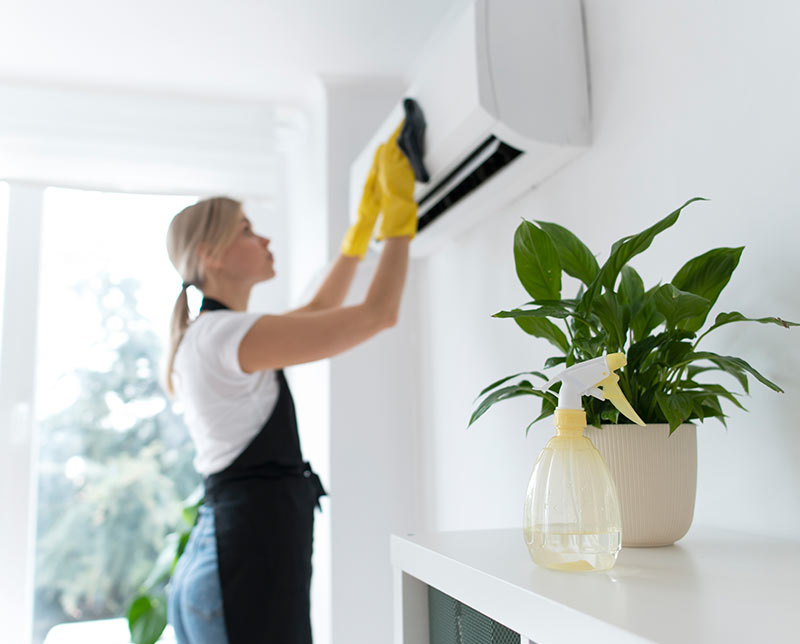 House Cleaning